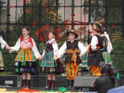 halozgierz_09349
