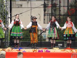 halozgierz_09350