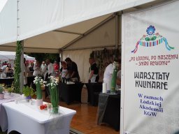 halozgierz_09363