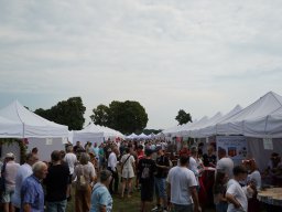 halozgierz_09374