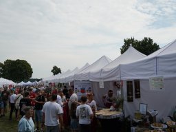 halozgierz_09376
