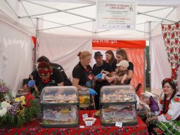 halozgierz_09391
