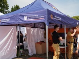 halozgierz_09417