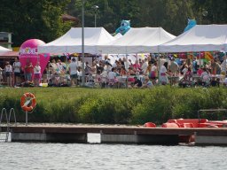halozgierz_09442