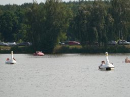 halozgierz_09444
