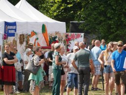 halozgierz_09468