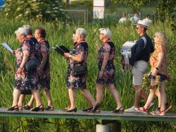 halozgierz_09222