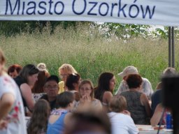 halozgierz_09279